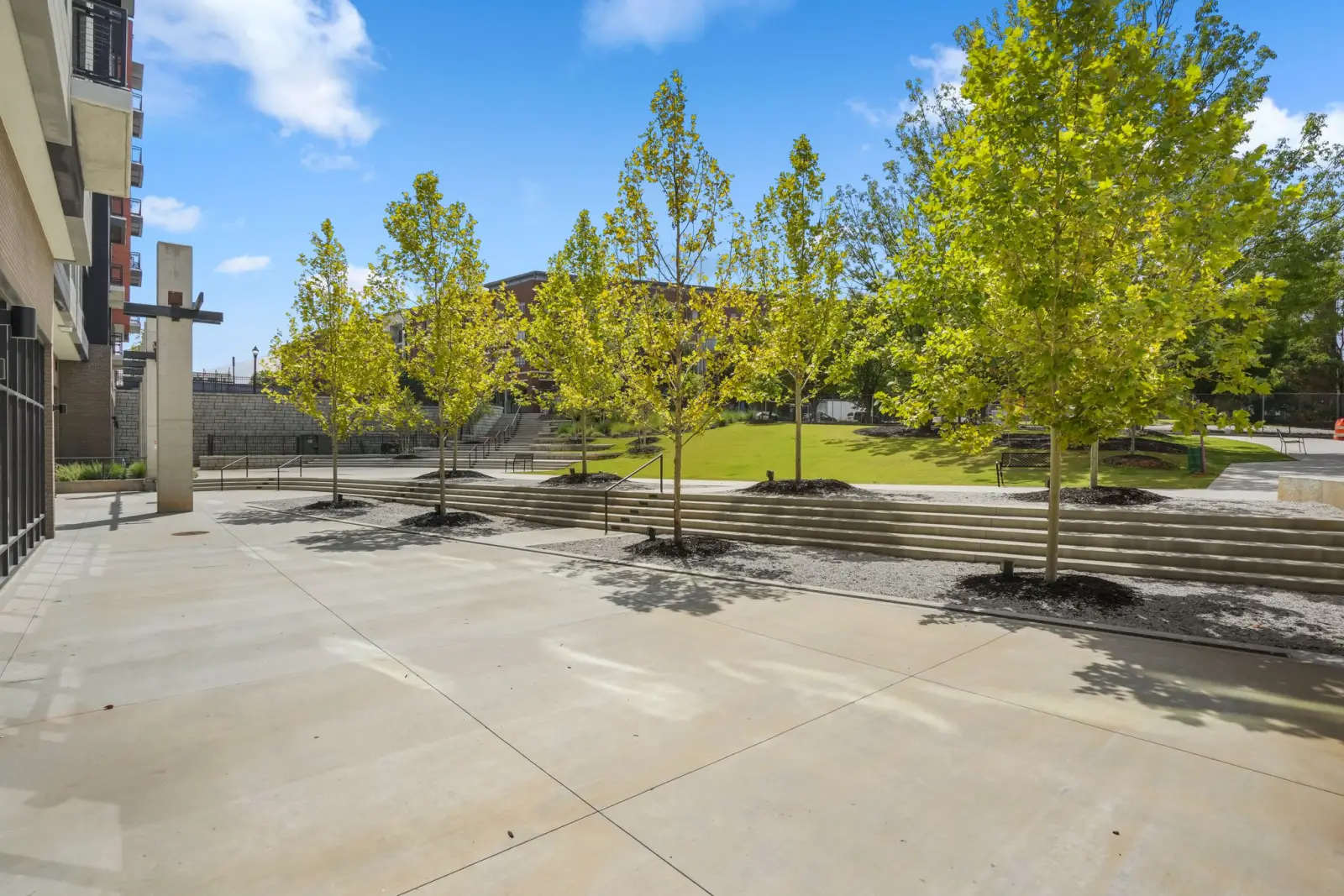 Castleberry Park outdoor green spaces